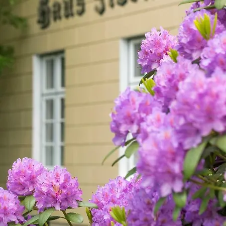 Apartment Haus Flora Keitum